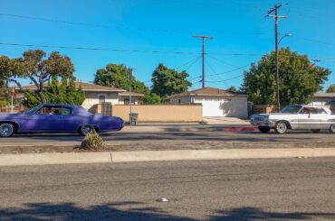 A herd of [Chevrolet Impala]s