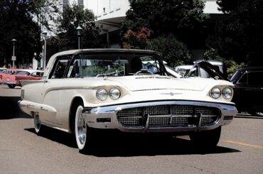 T-Bird