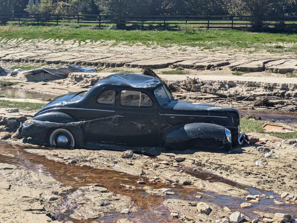 Spotted in North Carolina, 1 month after Helen ravaged the area