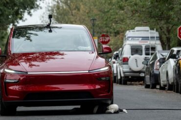 Elon Musk promised 1 million Tesla robotaxis in 2026: This is how many cars are currently in service