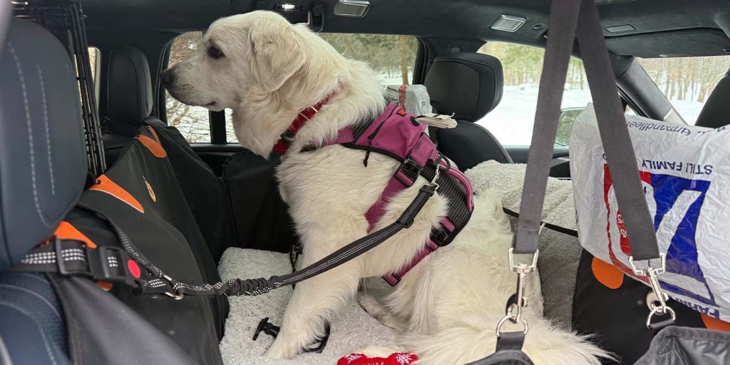 Cadillac Escalade IQ review