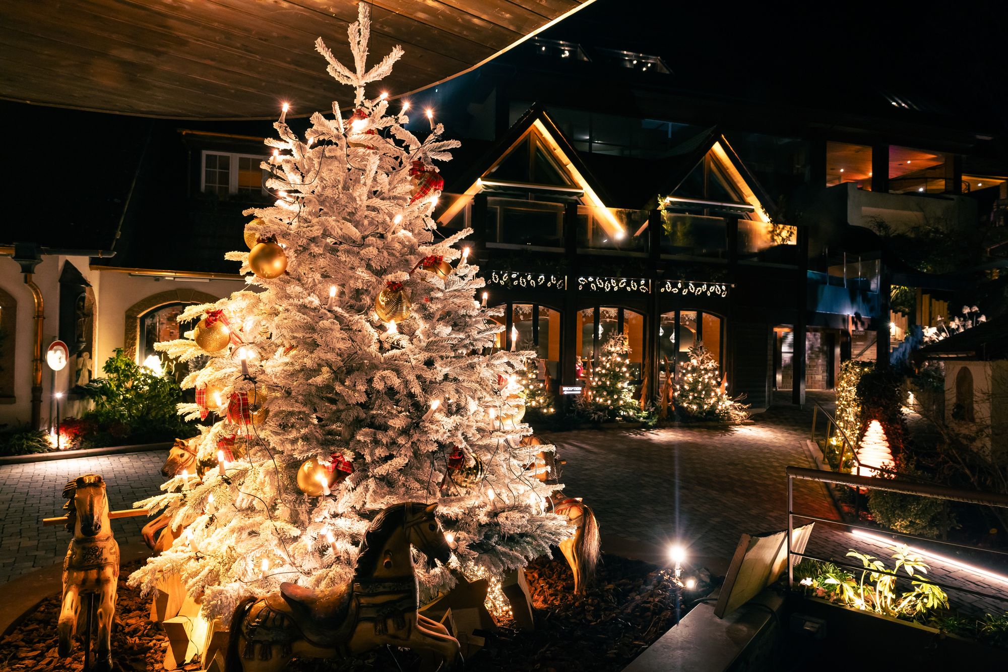 The final stop on our trip was the the Cheneaudiere hotel and spa in Alsace