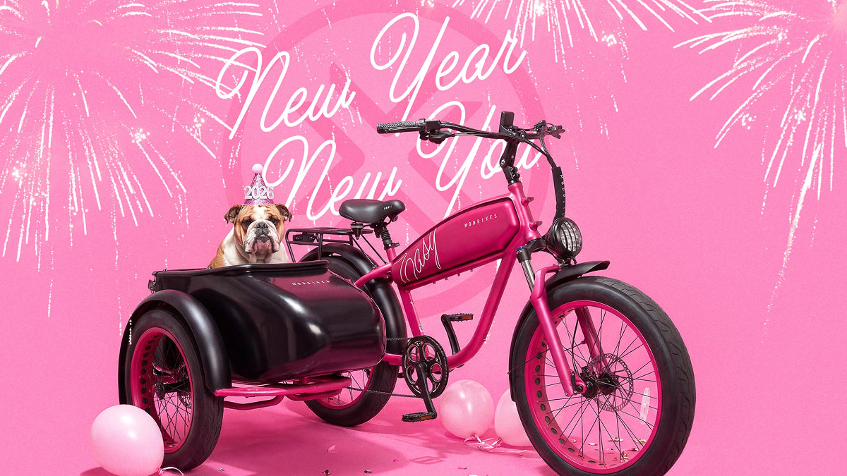 A dog in a pink tricycle