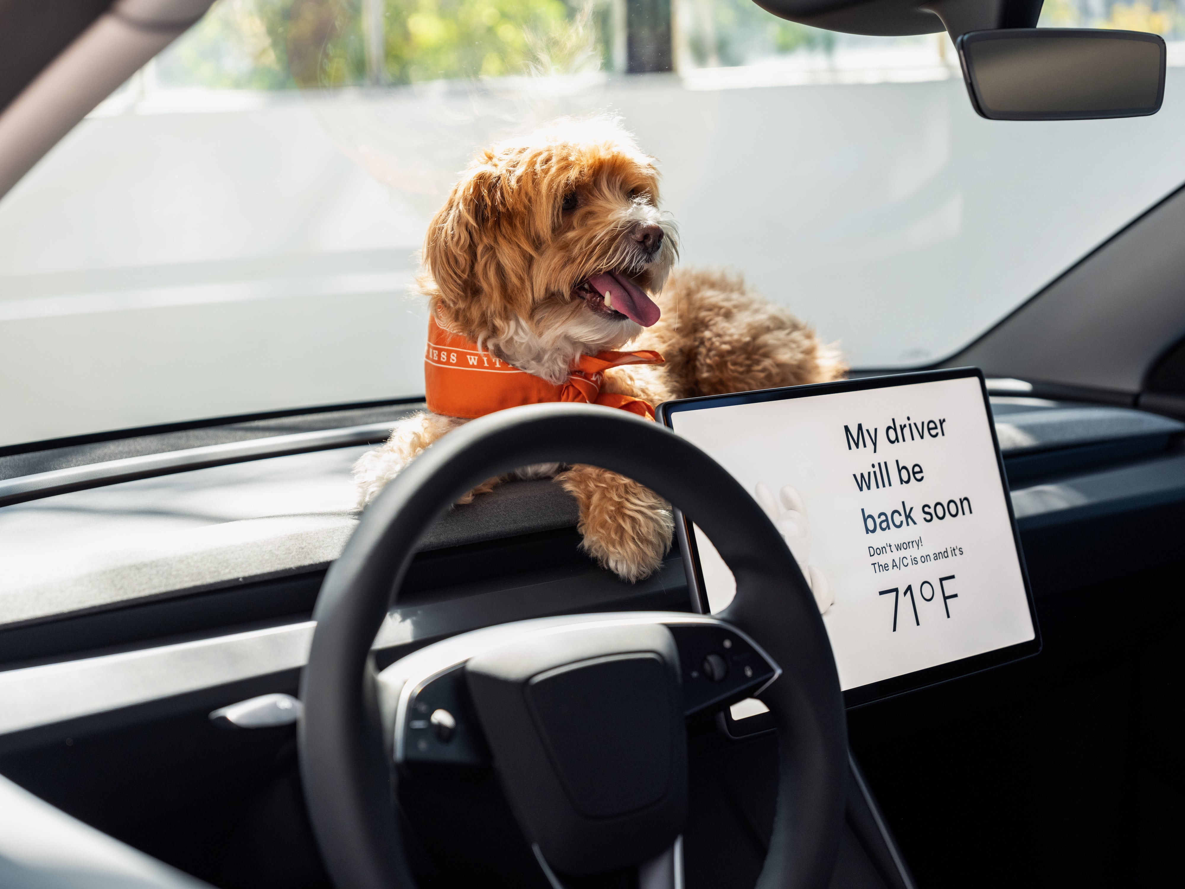 Among the many high-tech features in the Tesla Model 3 Standard is a Dog Mode that ensures your pooch gets air con when left alone in the car