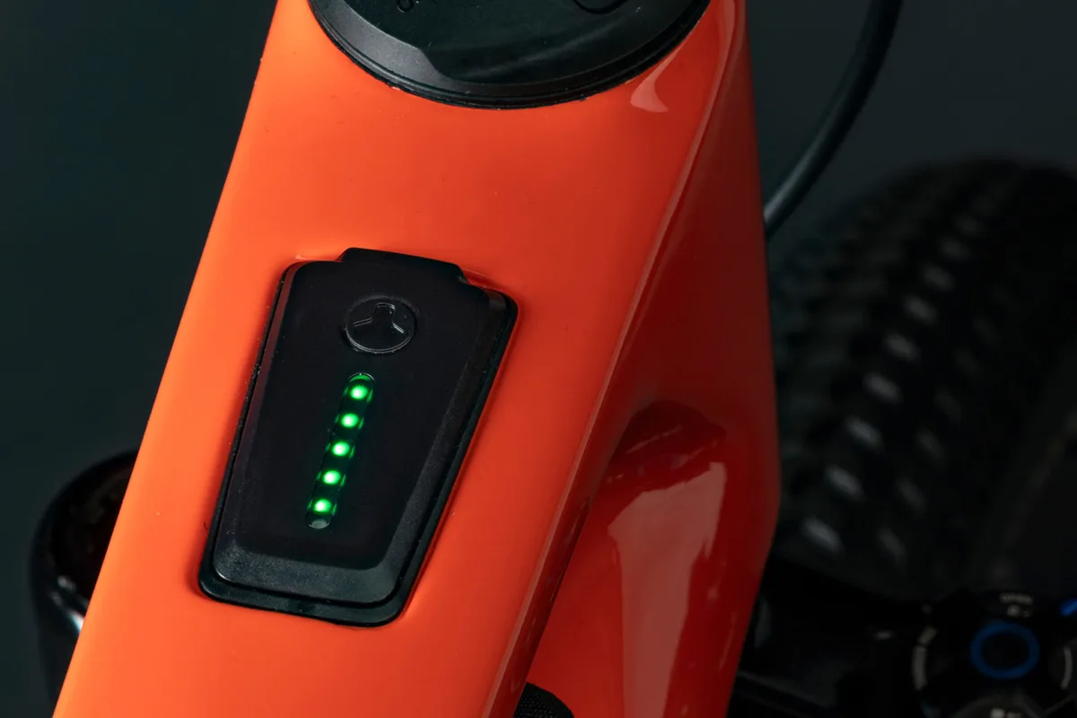 Salsa Wanderosa display