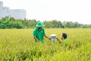 Vietnam to pilot 15 carbon credit farming models