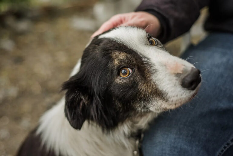 Yahoo lifestyle home