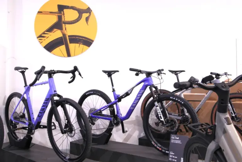 e-bike workshop service canyon