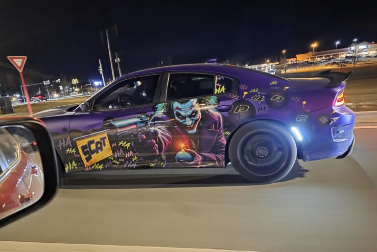 saw this scat on the highway