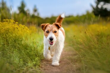 'We take it all over the city'