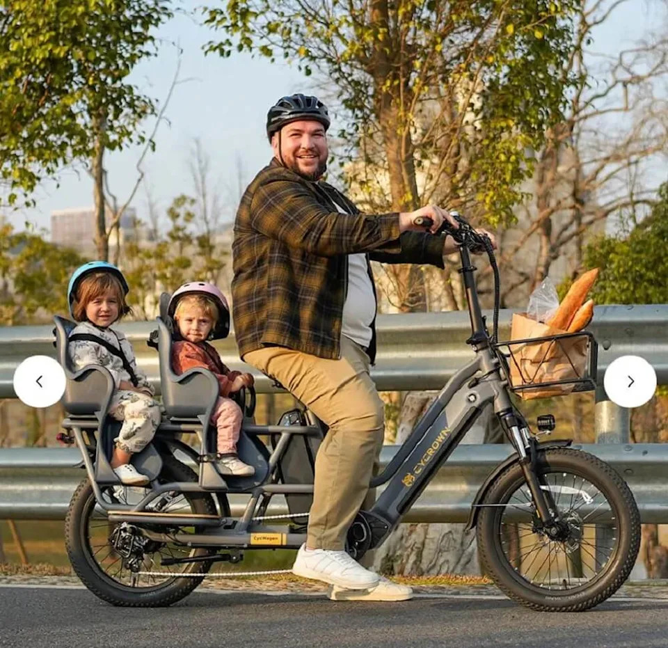 One e-bike commuter asked the r/ebikes subreddit for advice on how to transport her 12-year-old Golden Retriever.