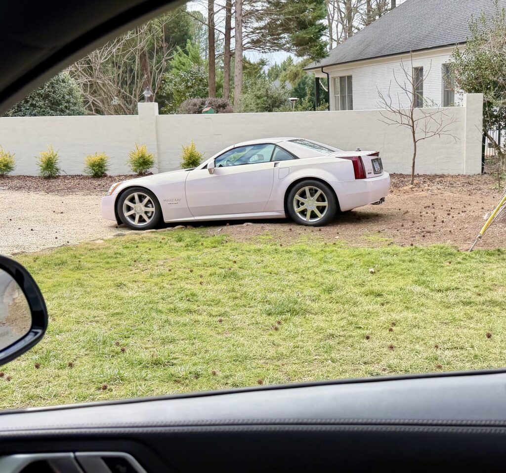 Weird/uncommon [Mary Kay XLR]