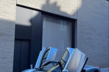 Ferrari Enzo Grigio Alloy [678x1200]