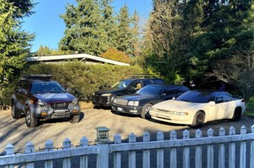 Our driveway is looking very weird these days.