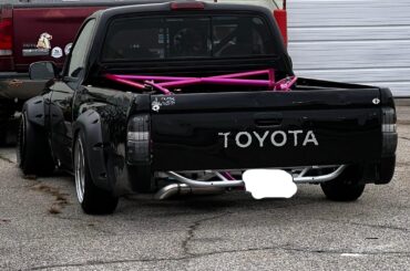 She’s a looker! Spotted in the wild.