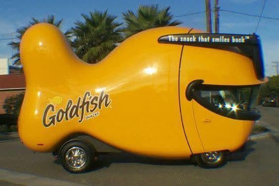 Goldfish mobile