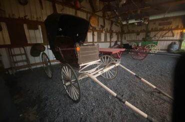 What was your family’s first automobile?