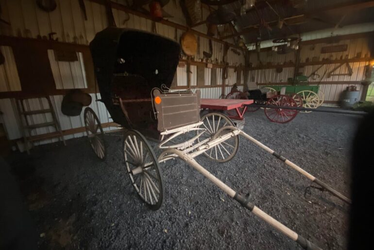 What was your family’s first automobile?