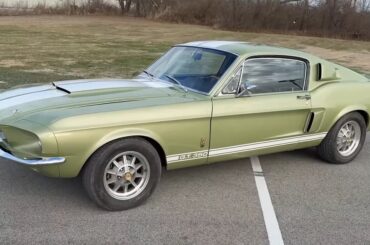 1967 GT 350 Shelby Mustang in Lime Gold.