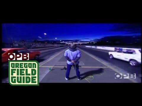 Before Tesla/Musk: John Wayland & his White Zombie