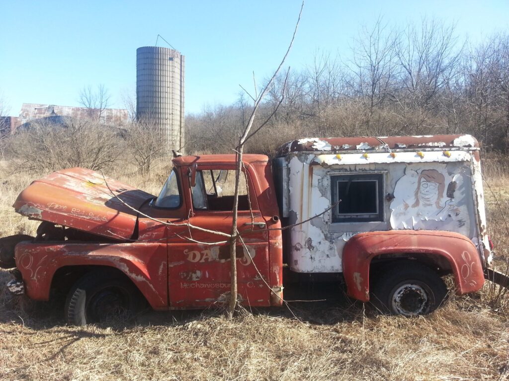 Spotted in a field in Ohio