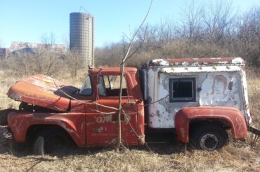 Spotted in a field in Ohio