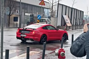 [Multi] that you can see in Belgrade