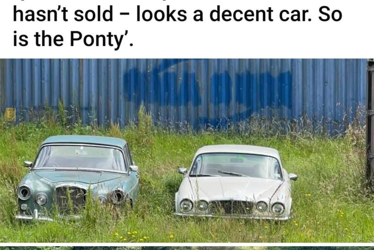 Hi from NZ. This was on my local FB. I wondered if this sort of thing is of interest to you connoisseurs?