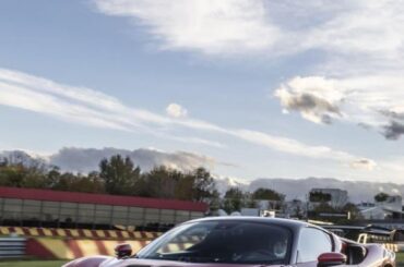 SF90 XX Stradale [669x1504]