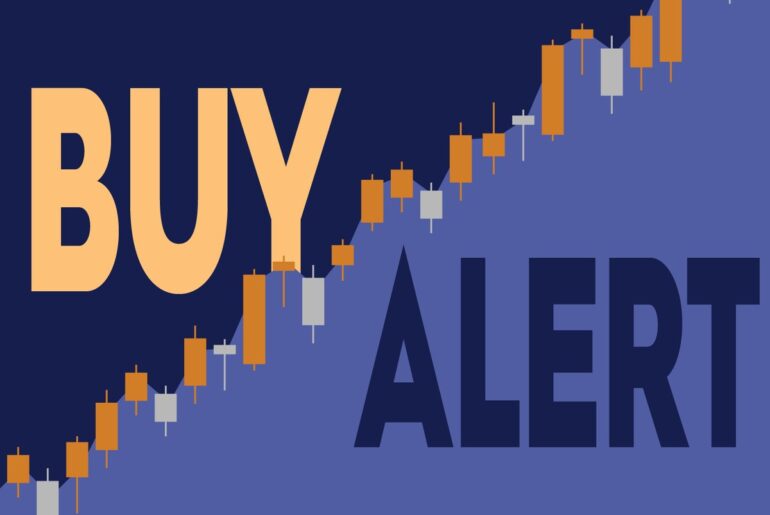 This $32 Million Bet Puts Nearly 10% of One Fund Into a China EV Stock Up 26%