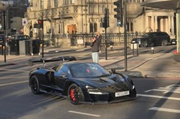 First time parklane spotting this year went well. [Multi]