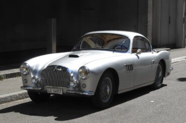 My best wild spots of 2025 [Multi]