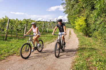 Yahoo lifestyle home