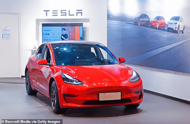 Tremblett was unable to get out of his his 2021 Model Y and died from ¿catastrophic thermal injuries and 'smoke inhalation injuries,' per the complaint (Photo of a Tesla model Y)