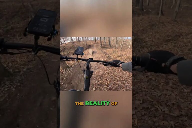 Before You Buy | Walmart Ozark Trail M.2 Ridge+