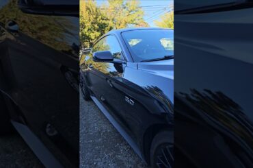 No Electric Cars Here.