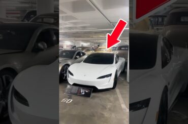 Why Thieves Avoid Teslas