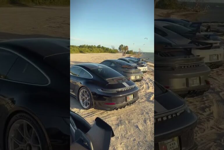 Washed up on shore #shorts