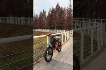 Ask your friend to give you an electric bicycle.