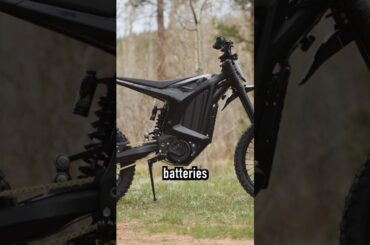 What Is Arctic Leopard Doing!?!