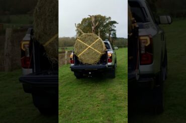 Wait for the torque… #Shorts