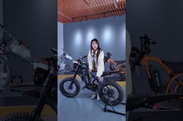 Have you discovered the features on the BGS electric bicycle?