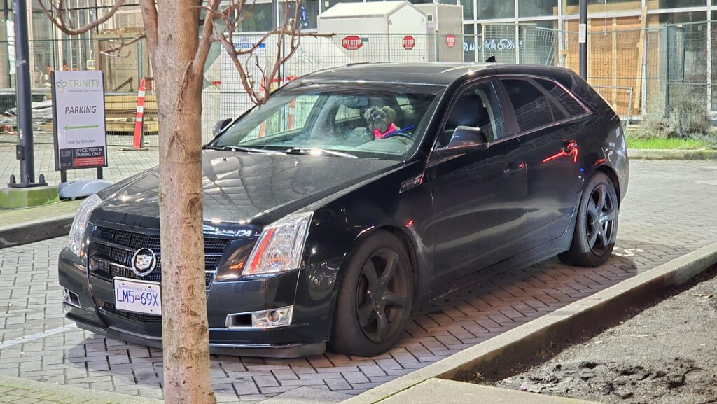 Why is a dog driving a CTS wagon?