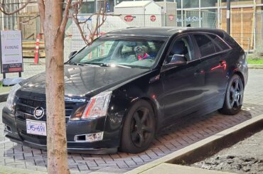 Why is a dog driving a CTS wagon?