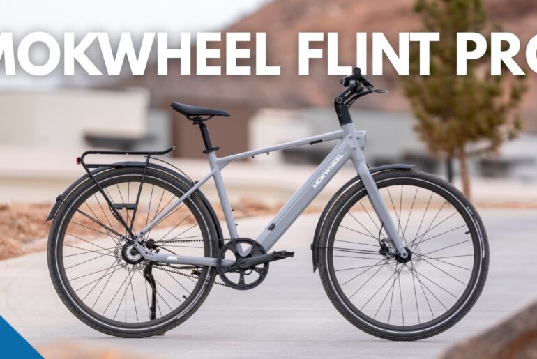 Mokwheel Flint Pro Review | Fitness Whole Bike Into My Life