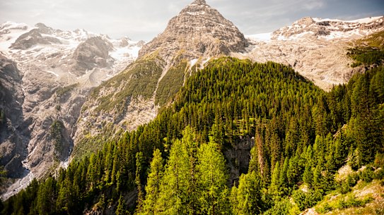 Road to Bormio in the Stelvio National Park, Dolomites.