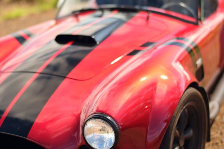 Karl's Cobra [1500x2000] [OC]