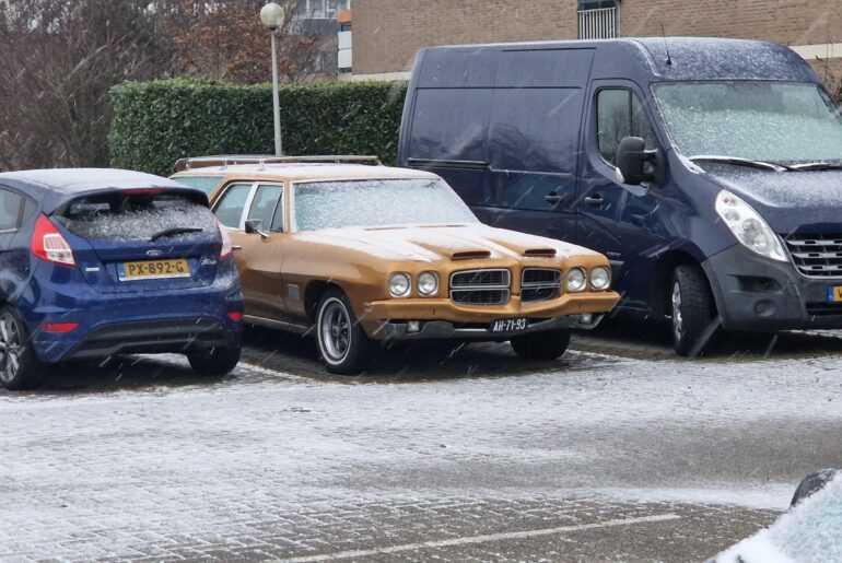 does this make it white gold?