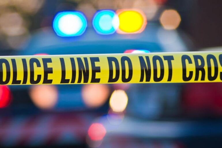 Tesla data helped SC police make arrest in murder case