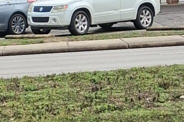 Spotted
